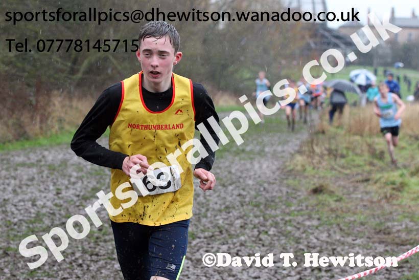 Junior boys Northern Inter Counties Schools Cross Country, Stockton. Photo: David T. Hewitson/Sports for All Pics